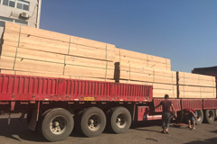 大貨車限載令來了！木材運輸價格將漲